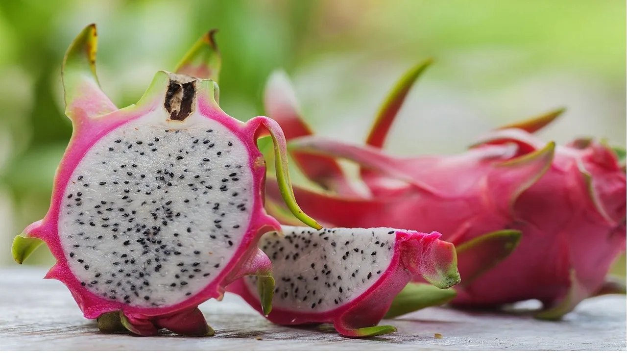 dragon fruit