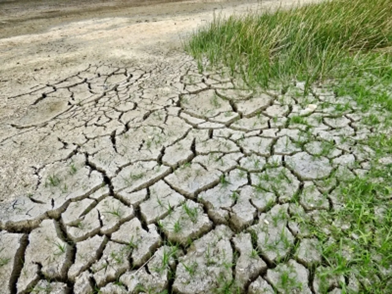 Climate Change
