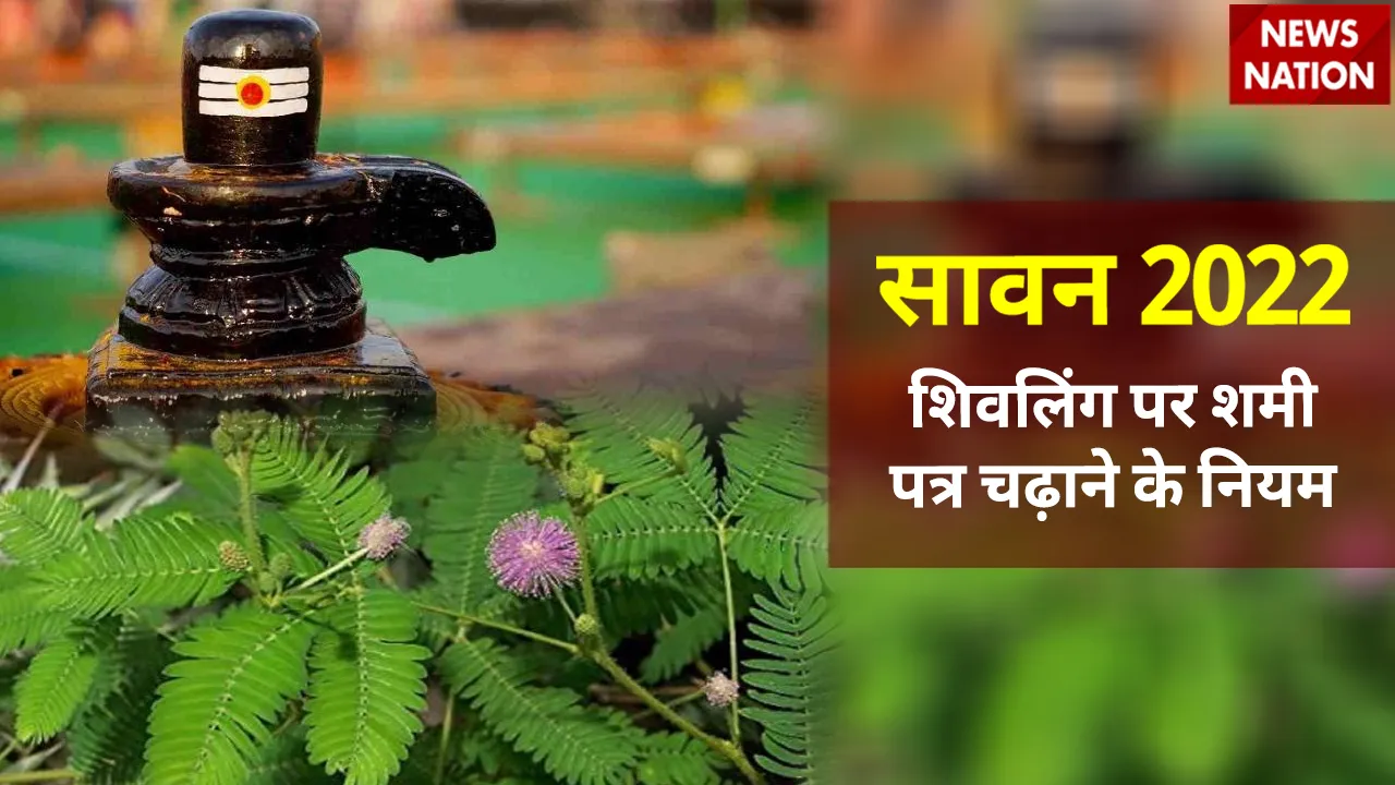 sawan 2022 shivling shami patra niyam