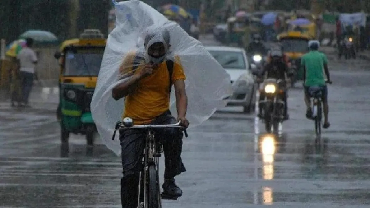 weather