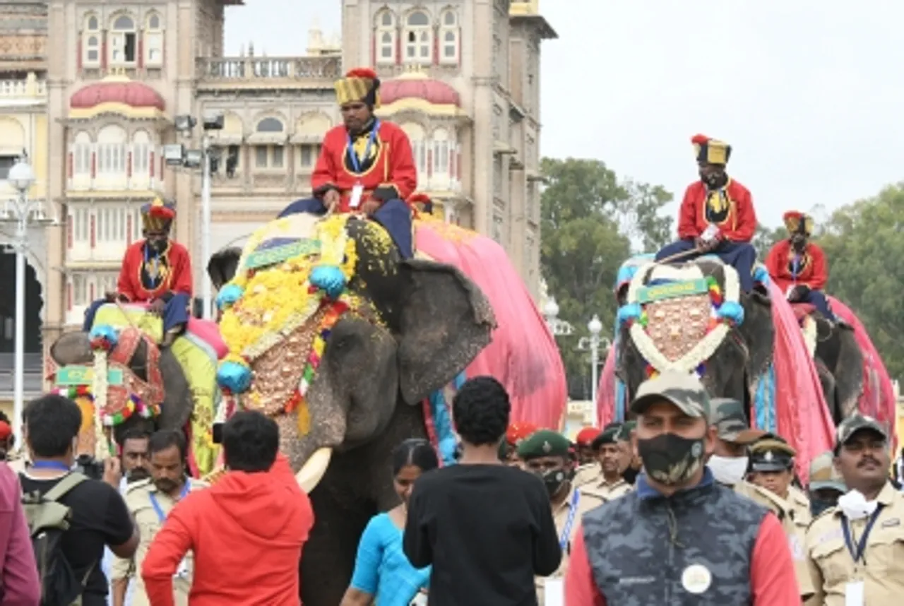 Bengaluru Elephant