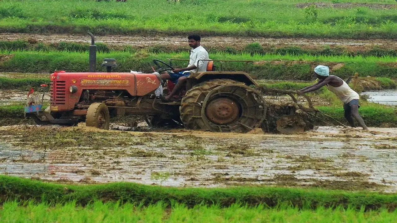 farmer