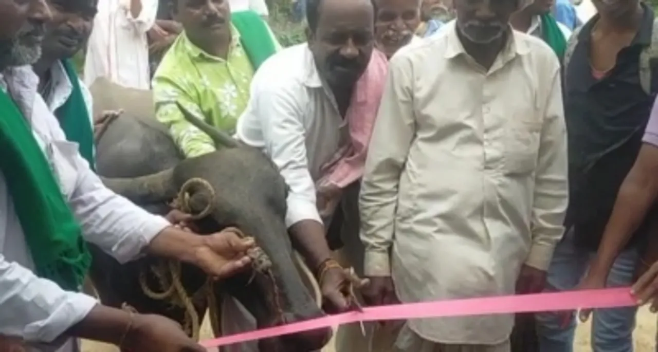 After MP-MLA