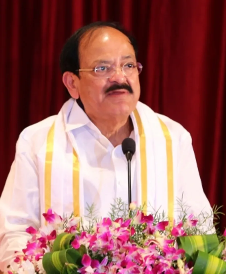 Vice Preident