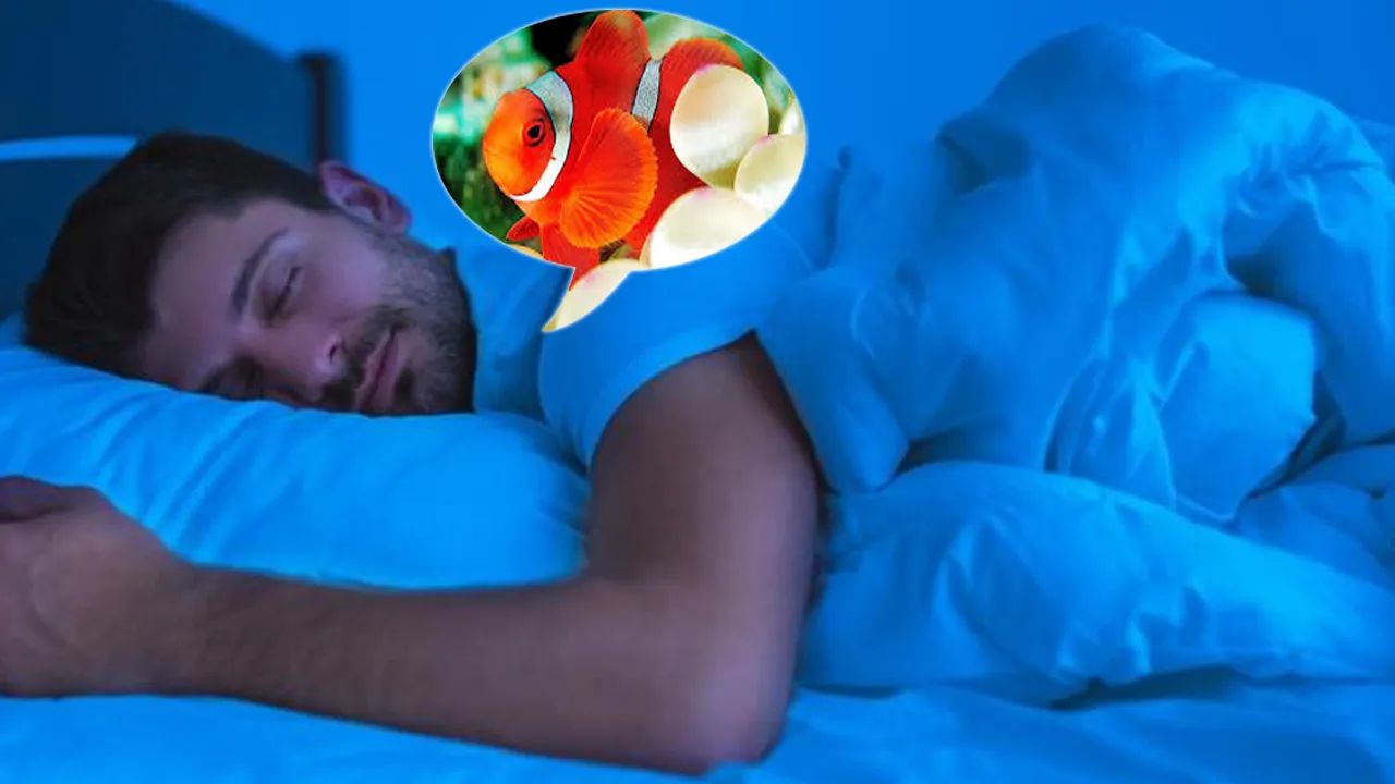 Fish Dream Meaning