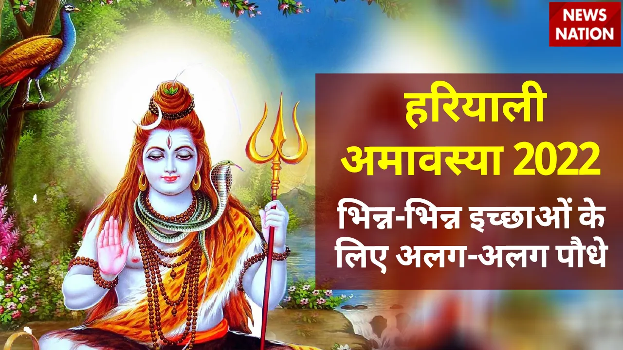 Shravan Amavasya 2022 Plants For Pitr Dosh