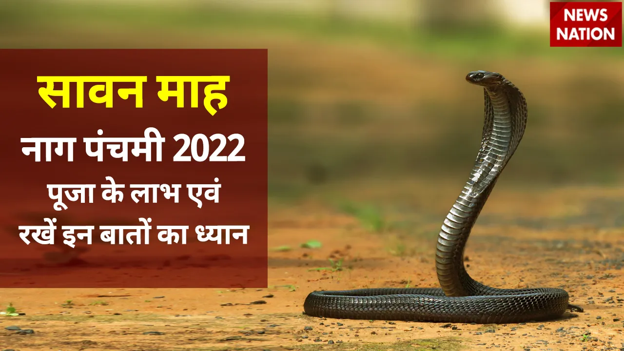nag panchami 2022 nag devta puja beneifts and 12 nag puja