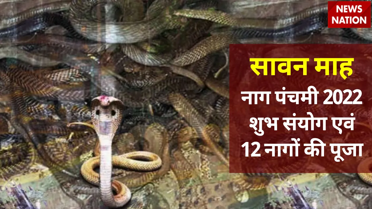nag panchami sanyog and 12 nag puja