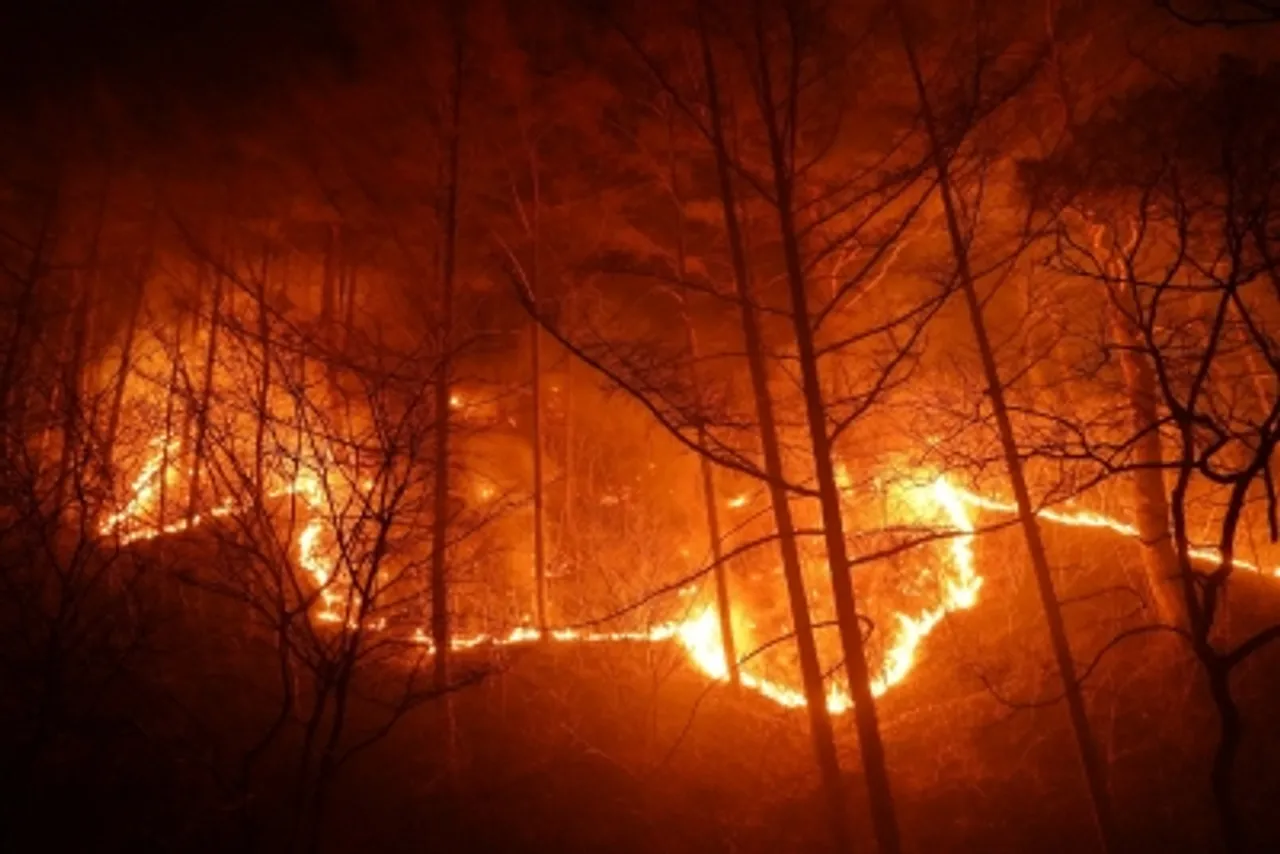 UljinA wildfire