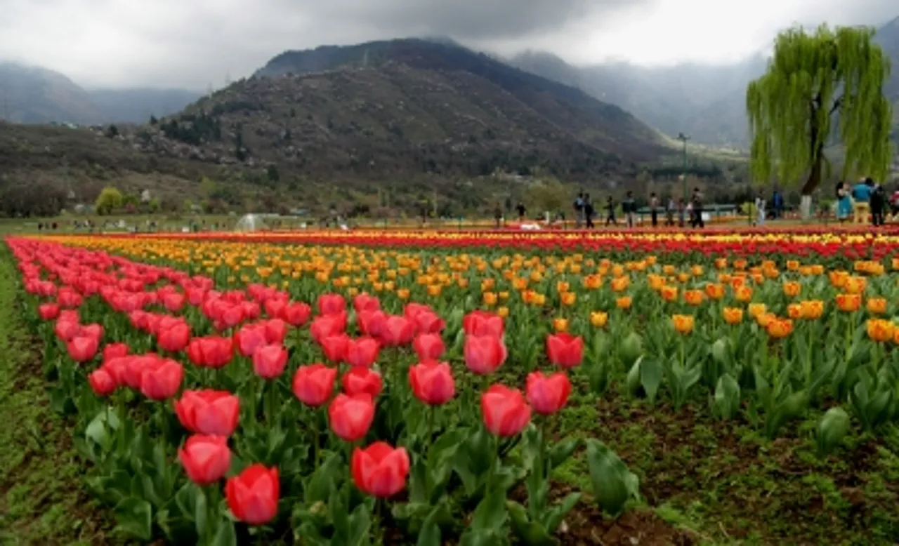 Srinagar A