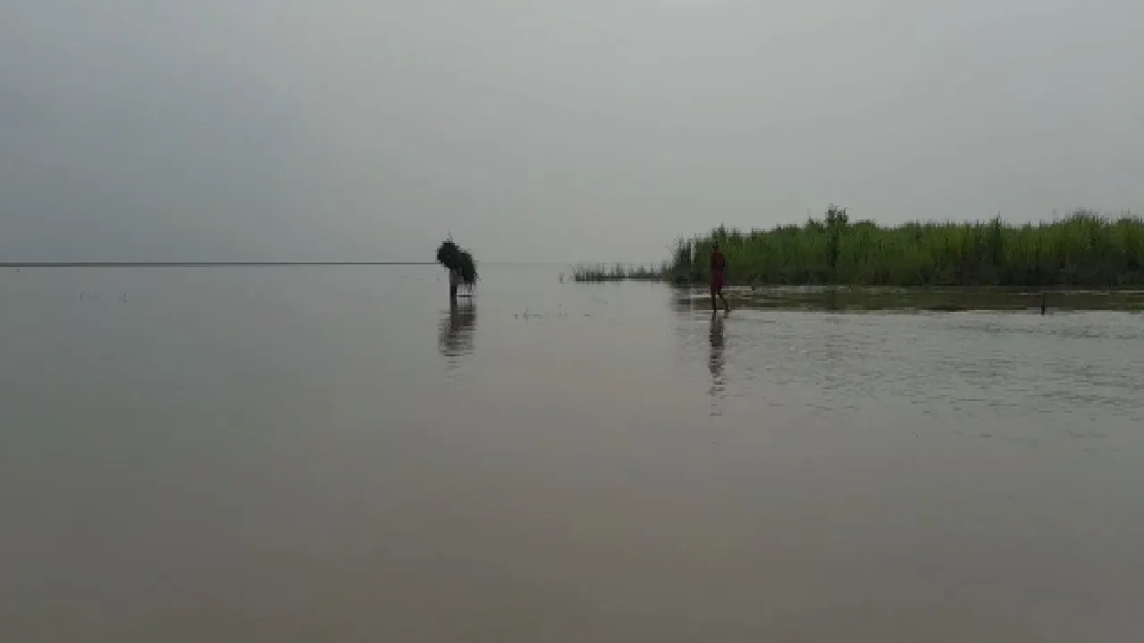 gopalganj flood