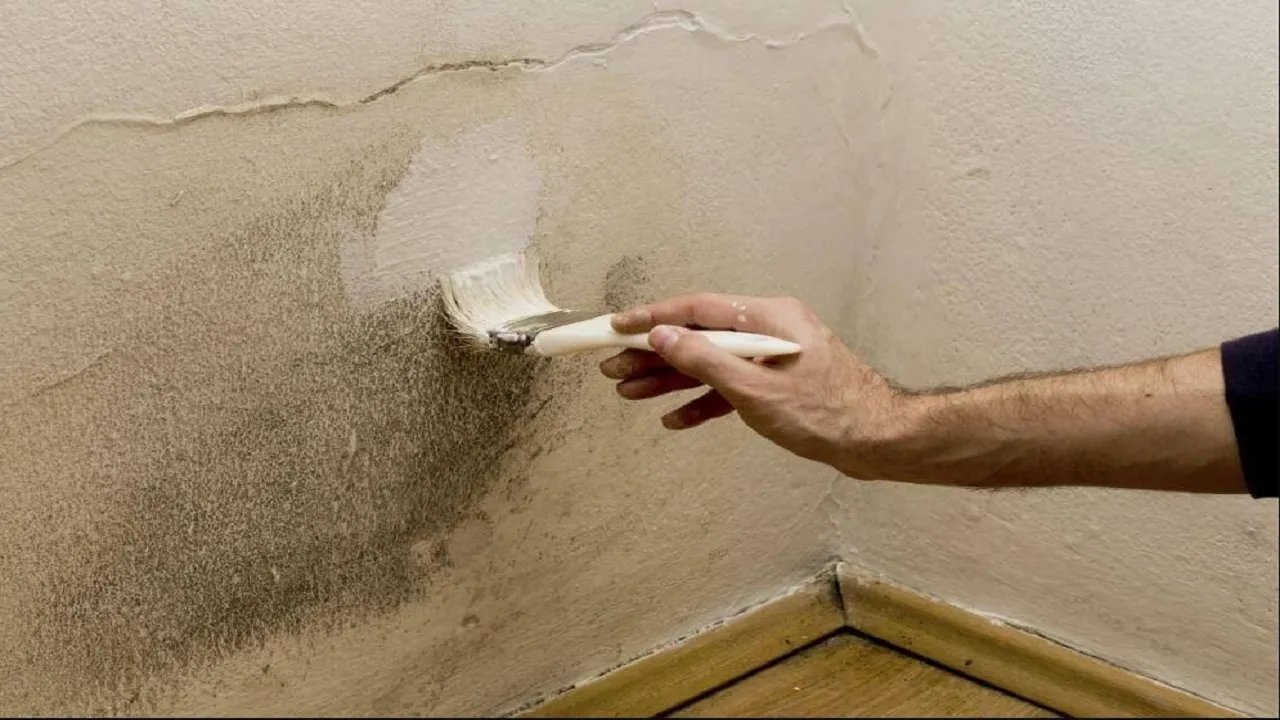 Appearance Of These Things In Walls