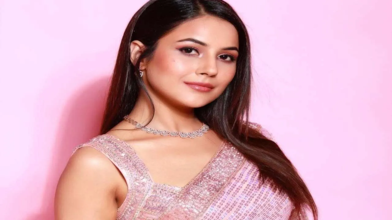 shehnaaz gill 13 16522408934x3  1