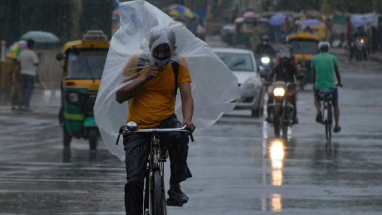 rainwt123