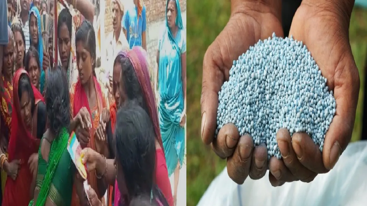 fertilizer