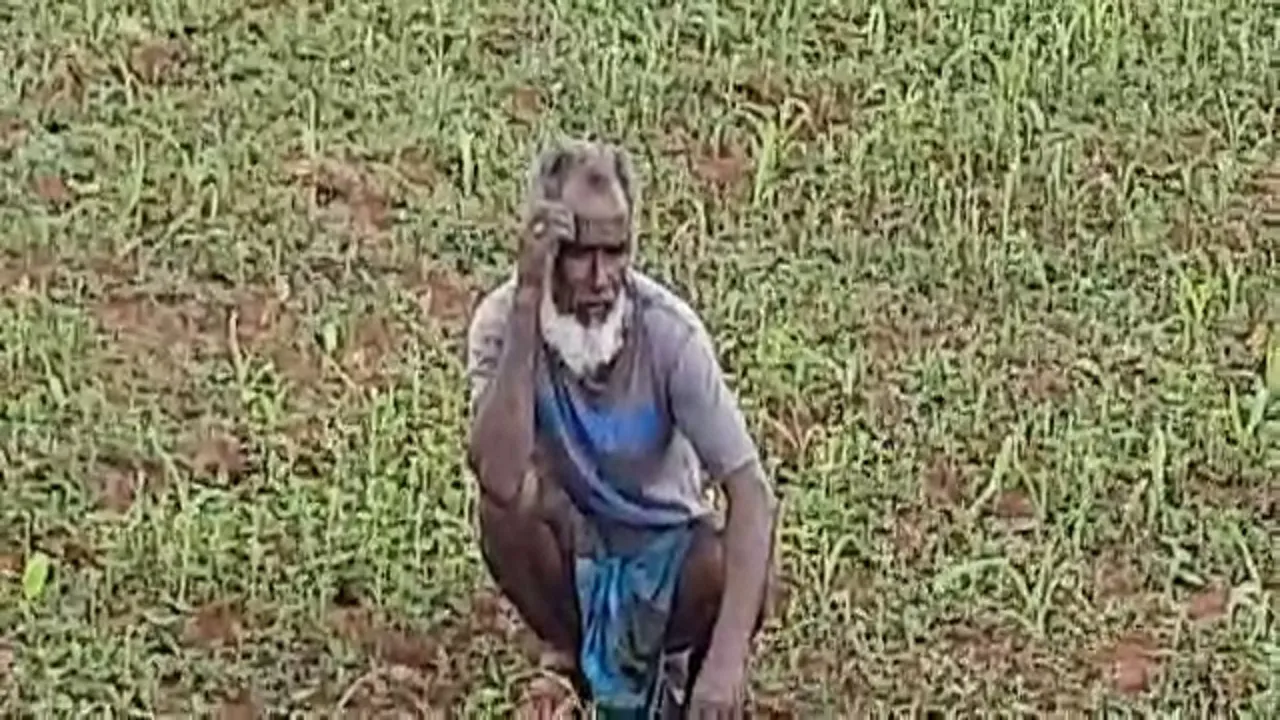 farmer