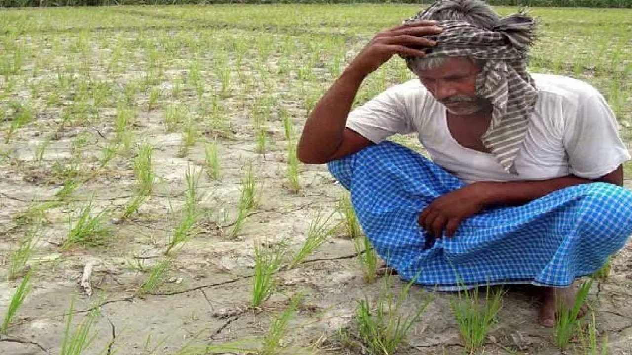 poor farmers
