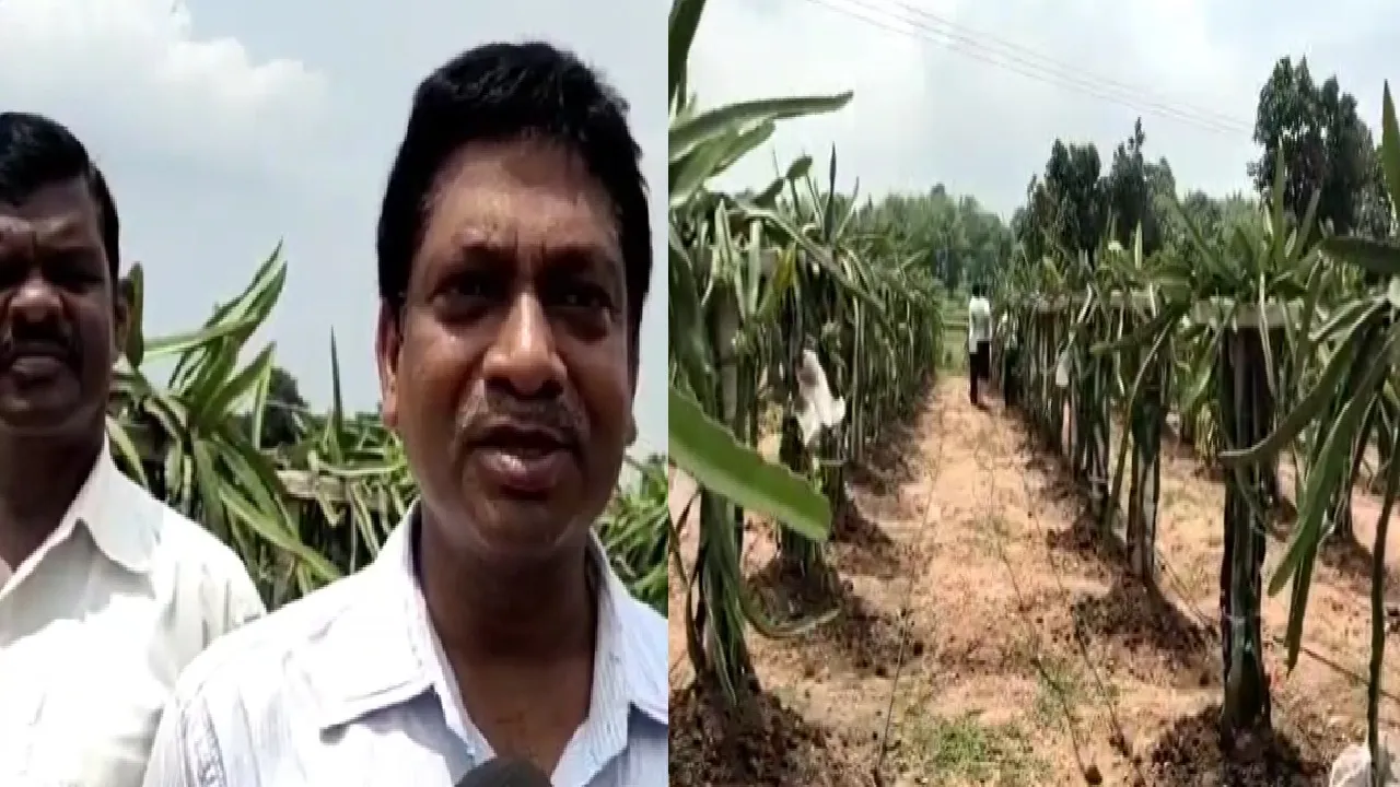 bokaro teacher