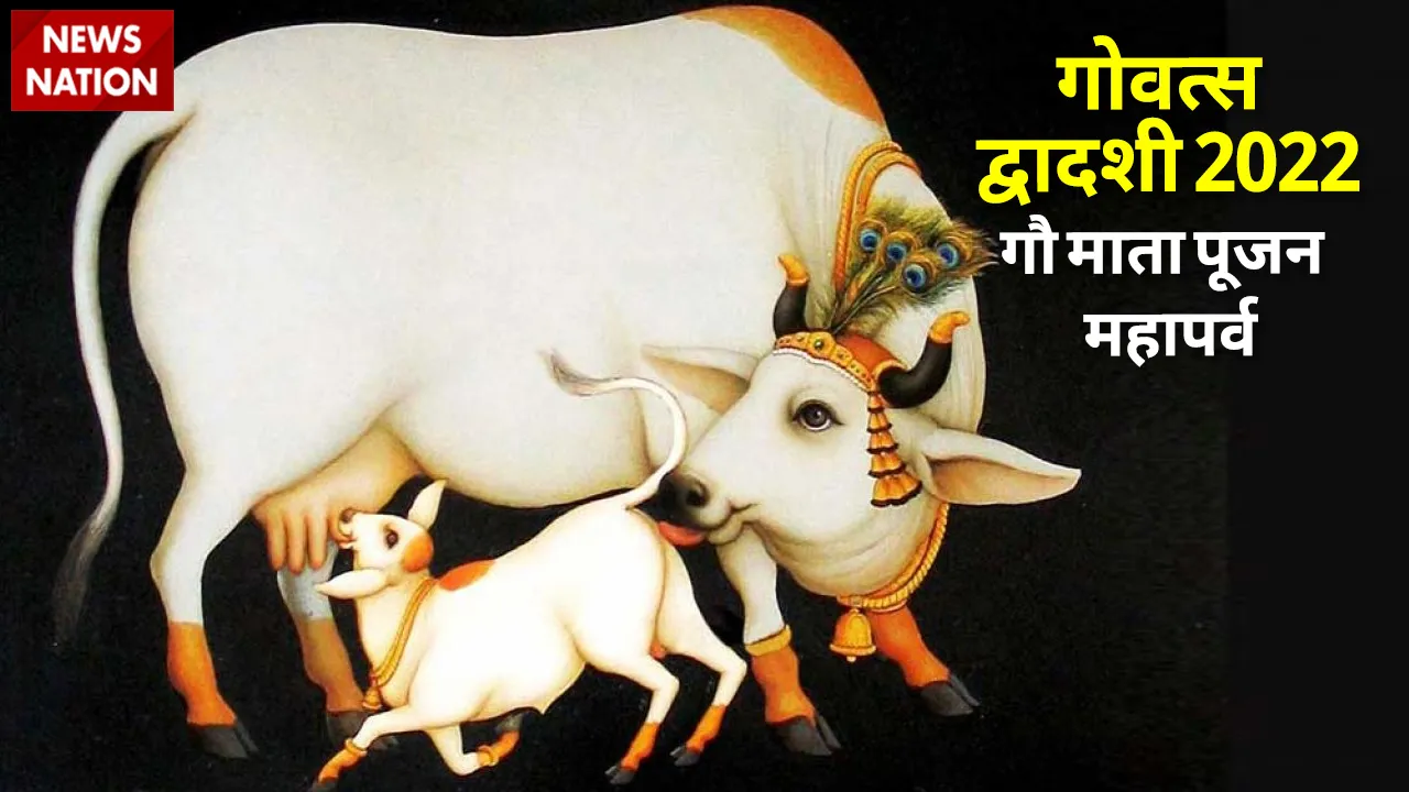 cow mata