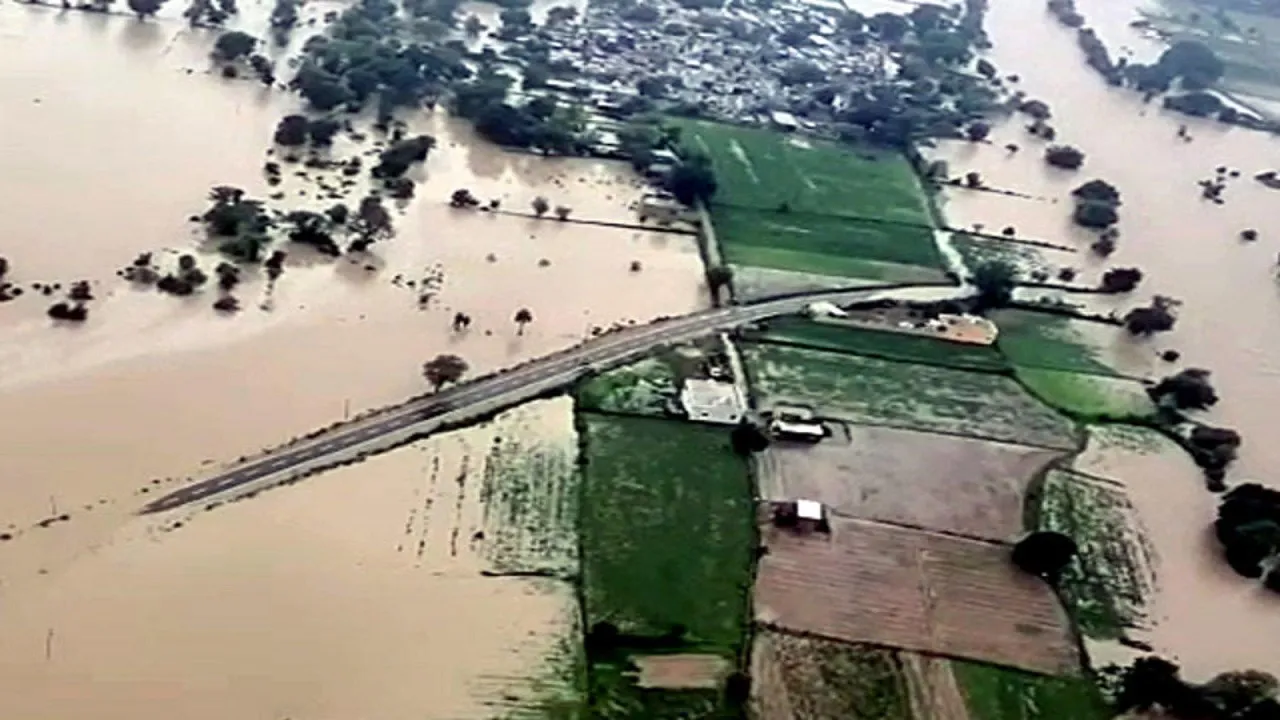 Chambal river