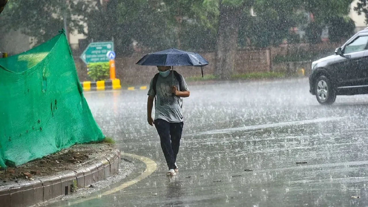 Delhi Rain