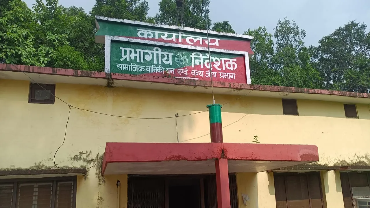plantation Scam