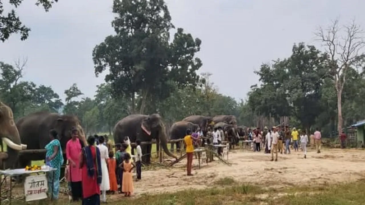 bandhavgarhhathimahotsav