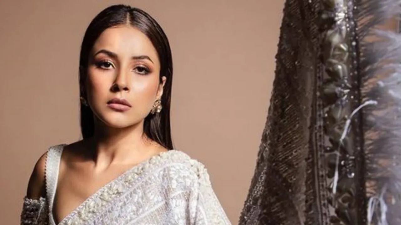 shehnaaz gill