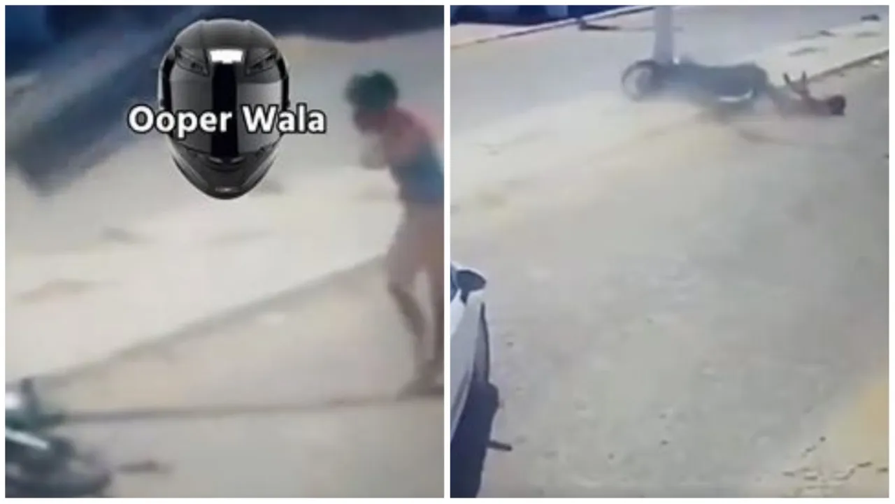 Social Media Viral Video