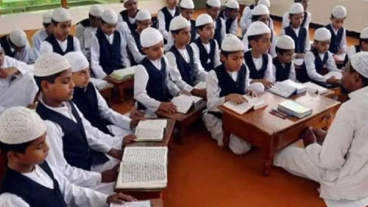 madrasas survey