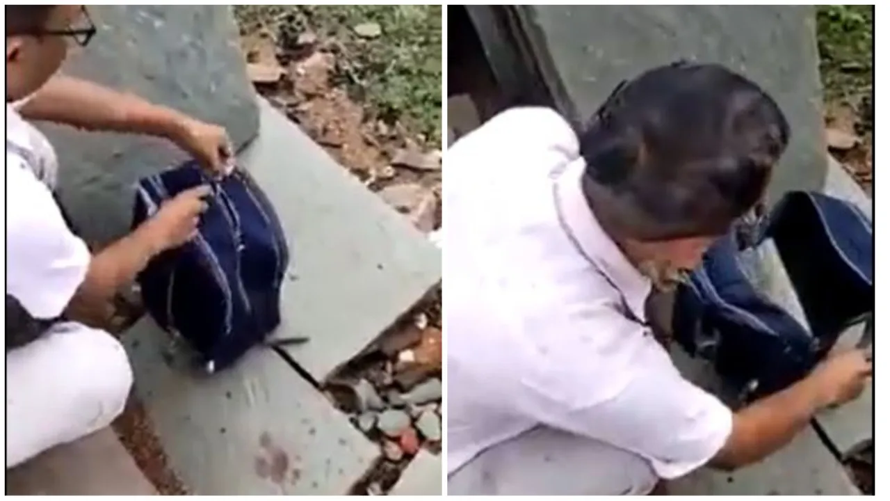 Social Media Viral Video