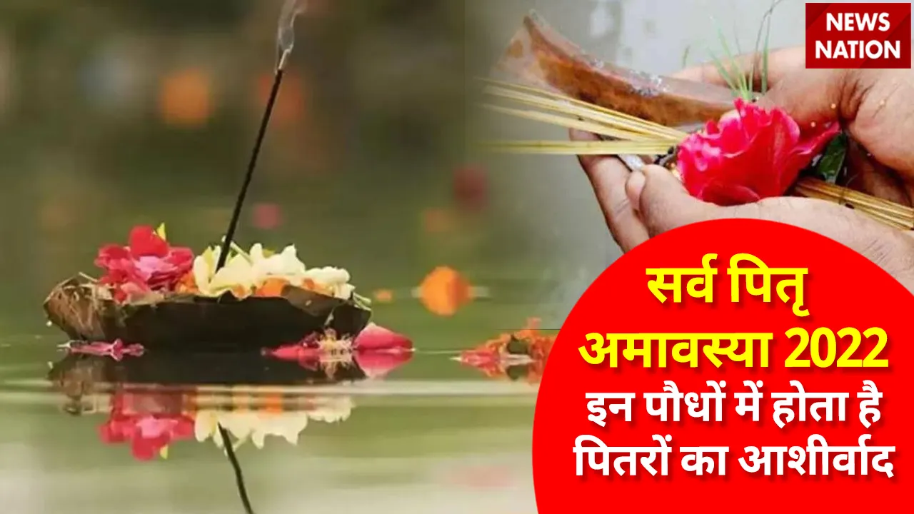 Sarv Pitru Amavasya 2022 Pitr and Plants
