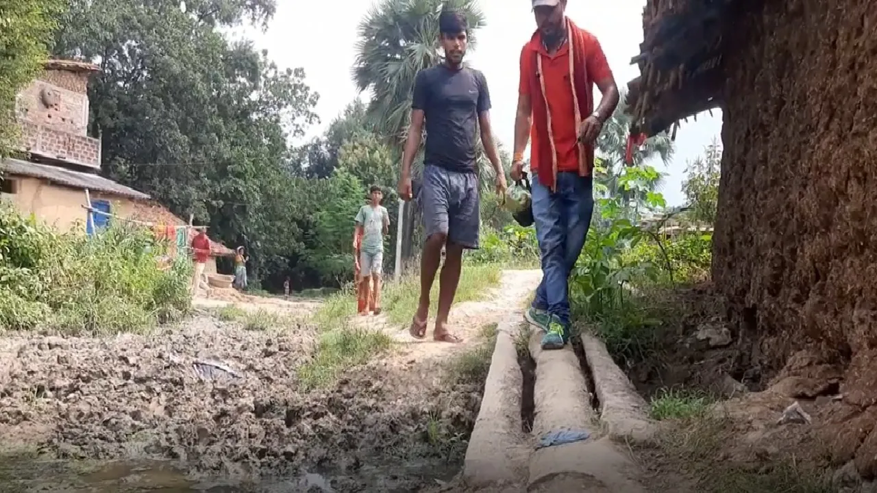 gaya
