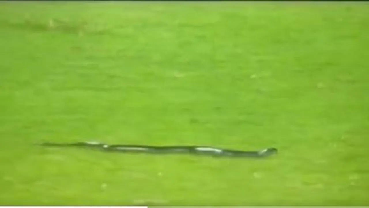 Snak in Barsapara Cricket Stadium IND vs SA