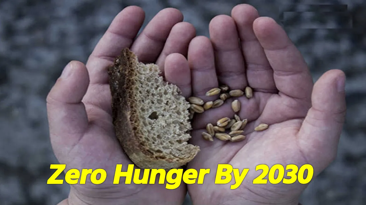 Hunger Index