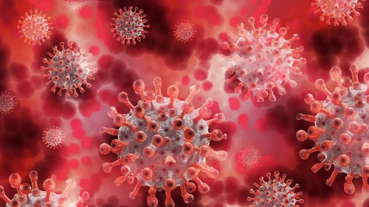 Coronavirus in Pakistan