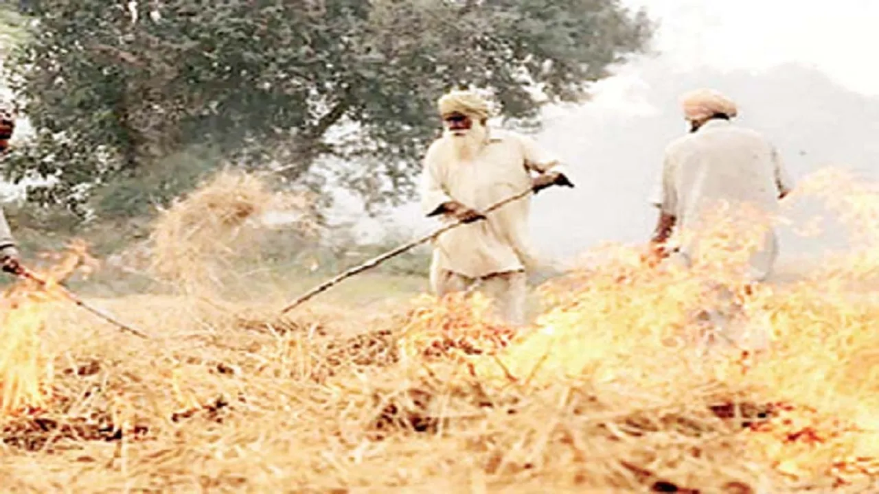 stubble burning