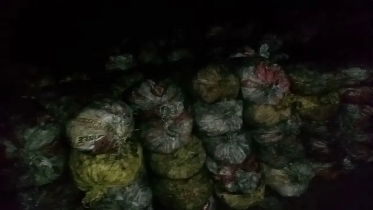 dhanbad coal