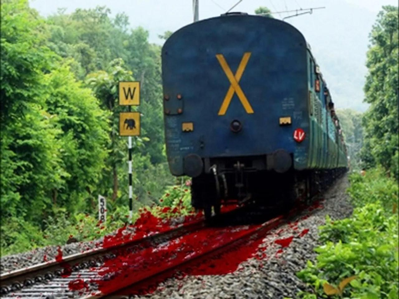 Three killed