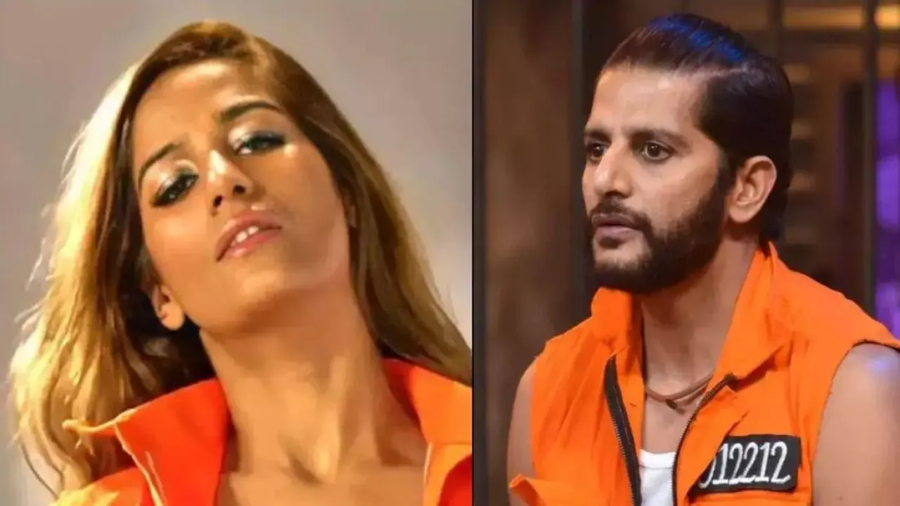 karanvir bohra poonam pandey