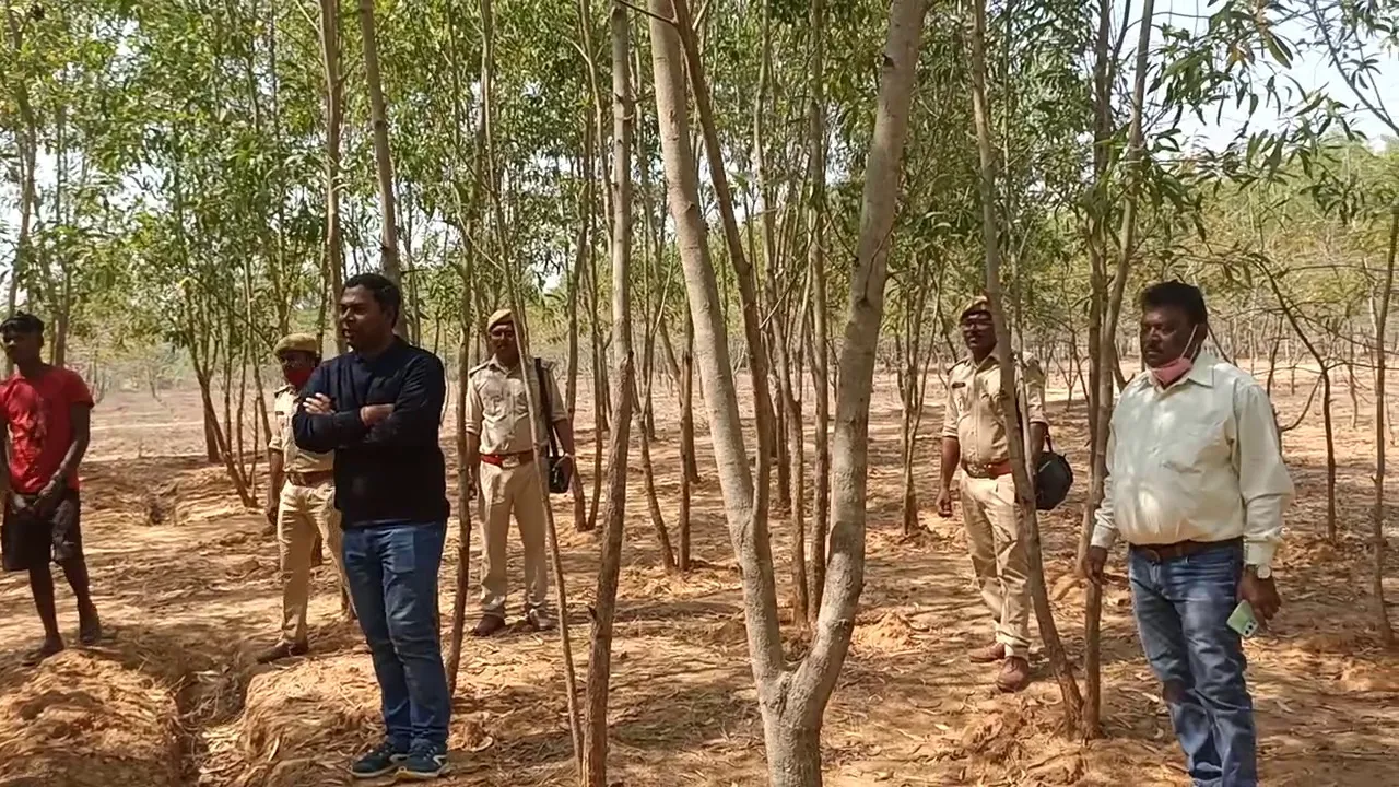 gumla forest