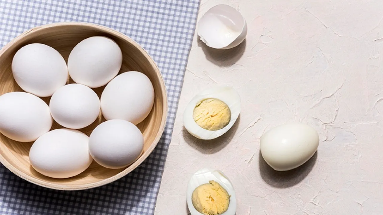 EGG 1