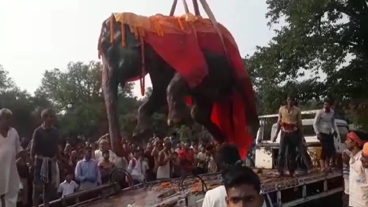 anarkali