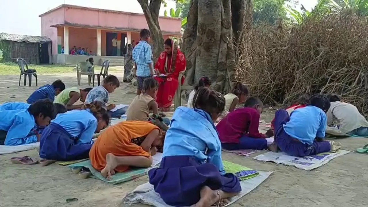School