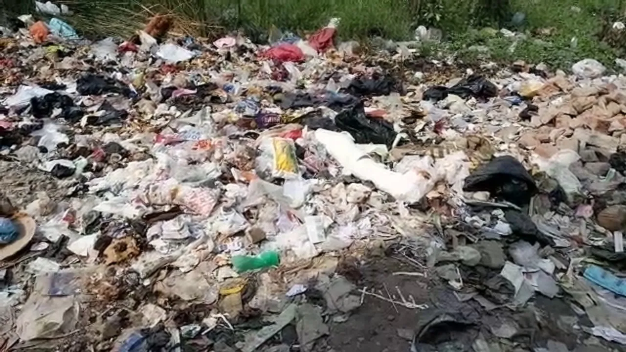 bio waste