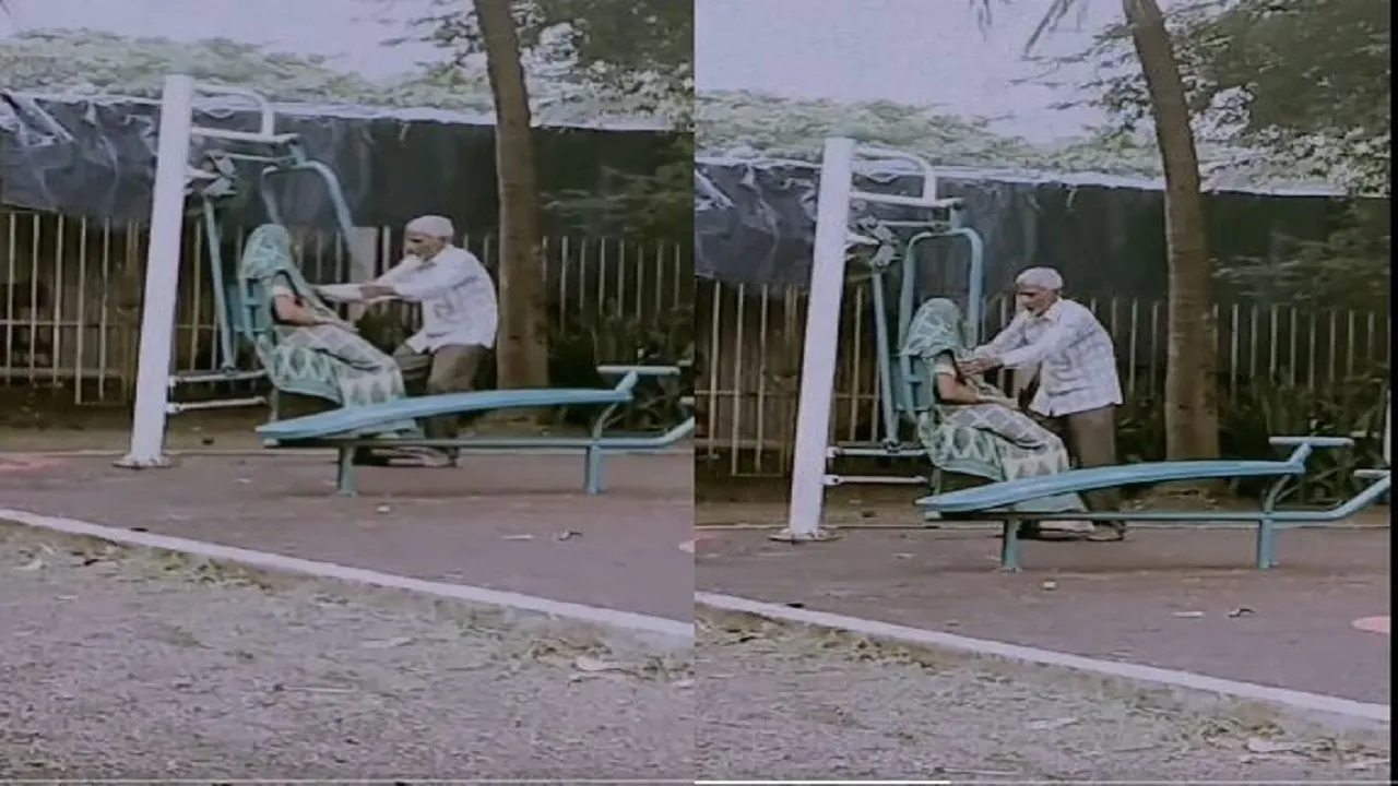 Old Couple In Park