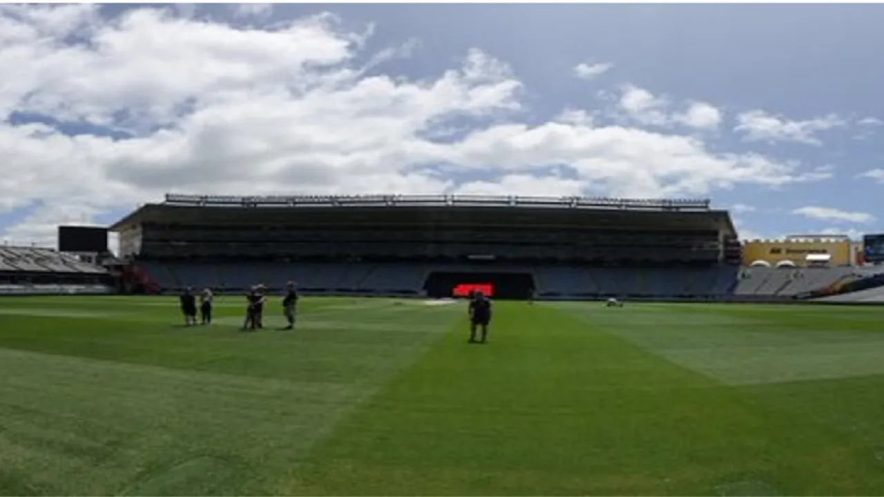 India vs New Zealand Weather Report