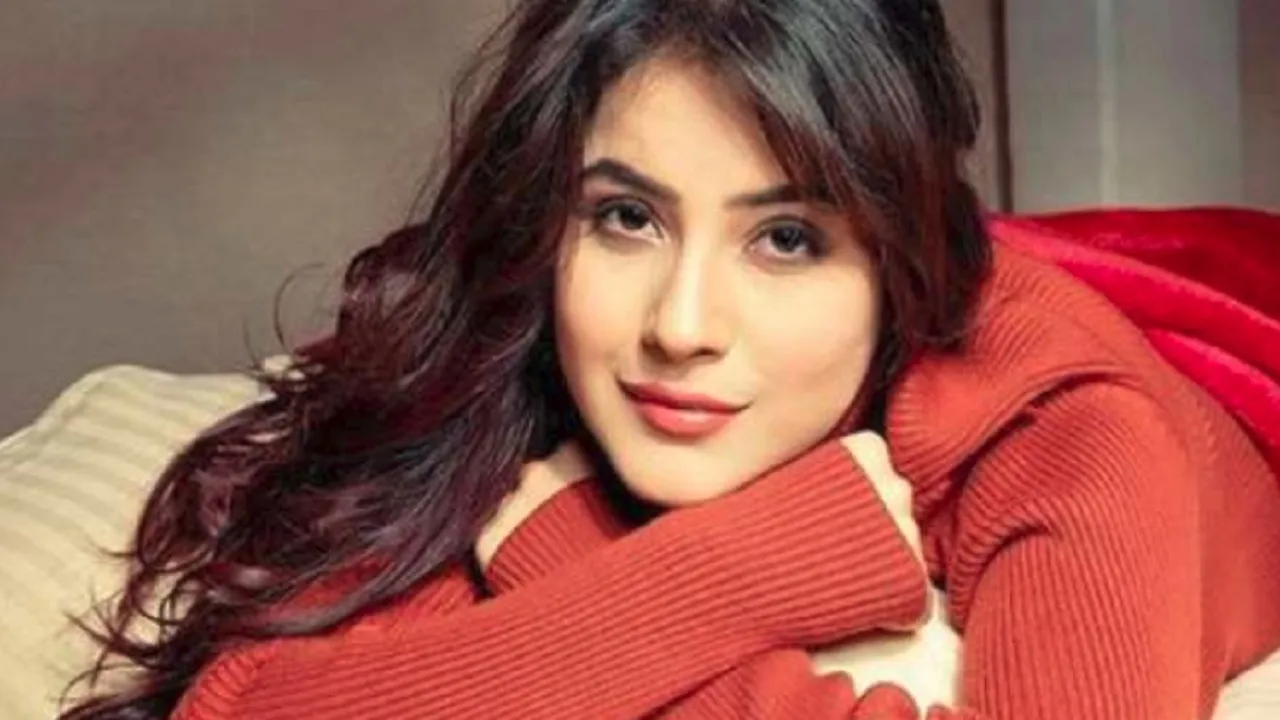 shehnaaz gill upcoming movies