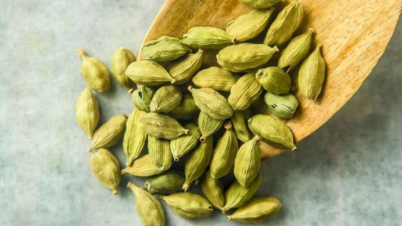 Cardamom