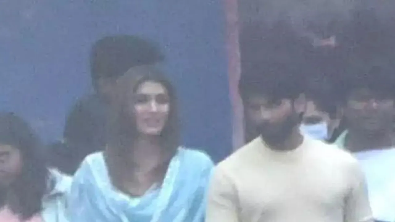 shahid kapoor kriti sanon